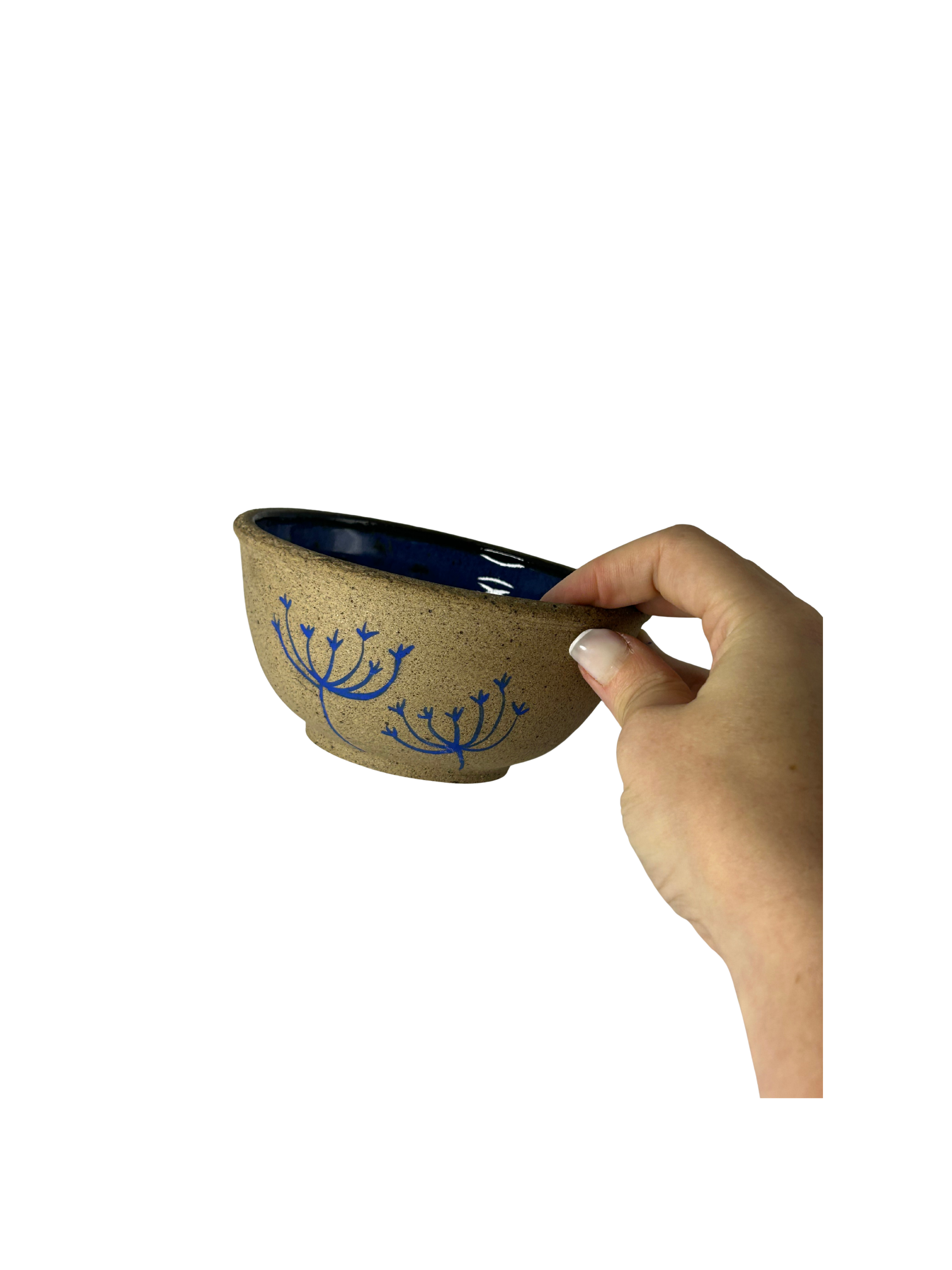 Conjunto 4 Bowls Azul