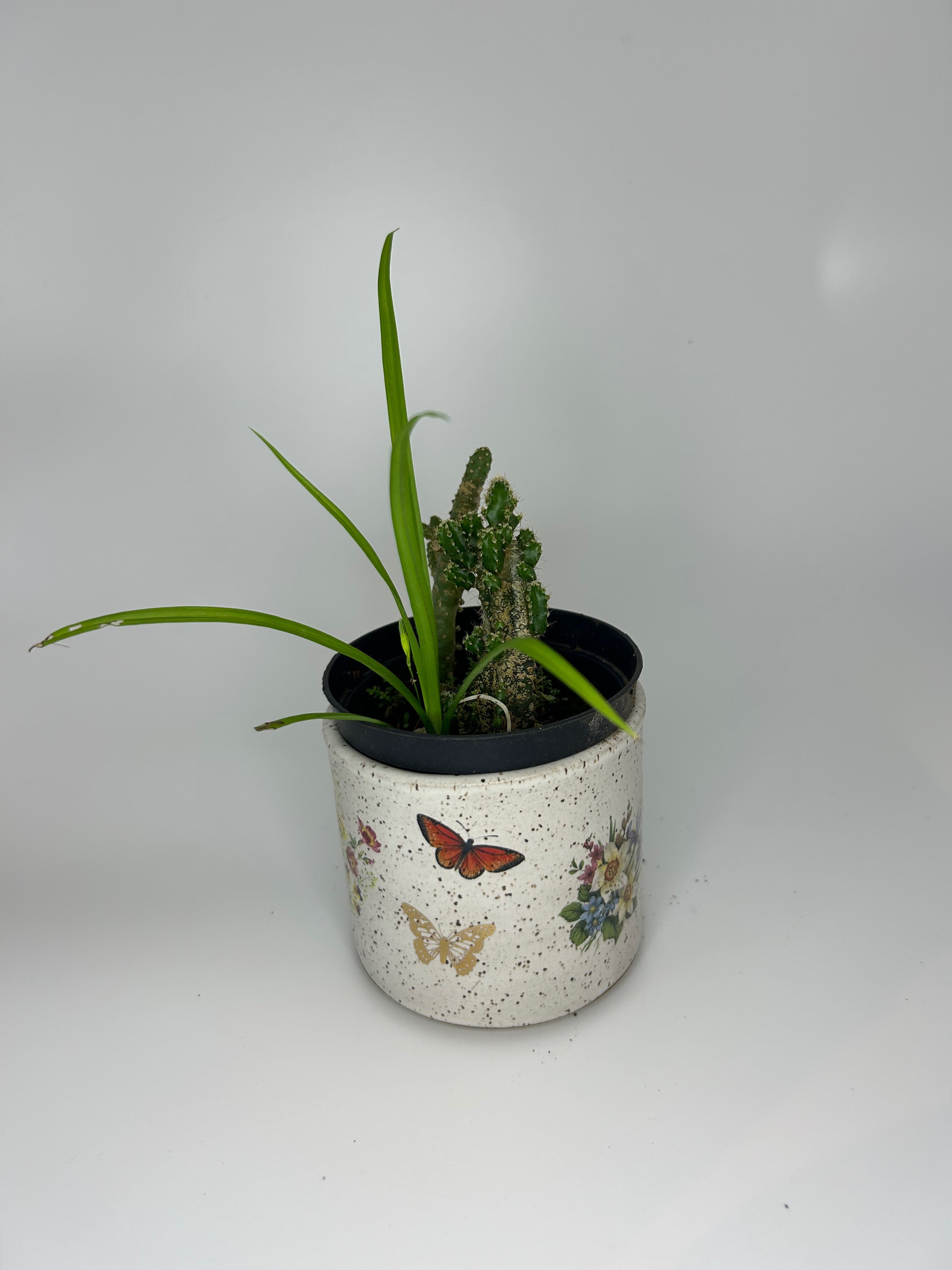 Pote de Cerâmica Borboletas Multiuso